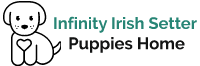 Infinity Irish Setter Puppies Home